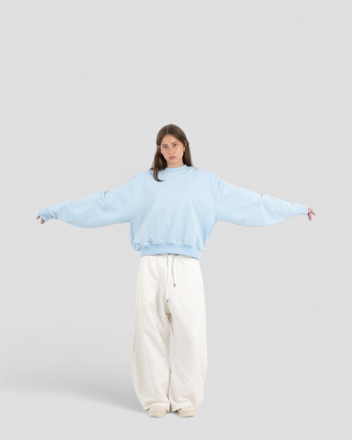 The Perfect Blank Sky Blue Crewneck