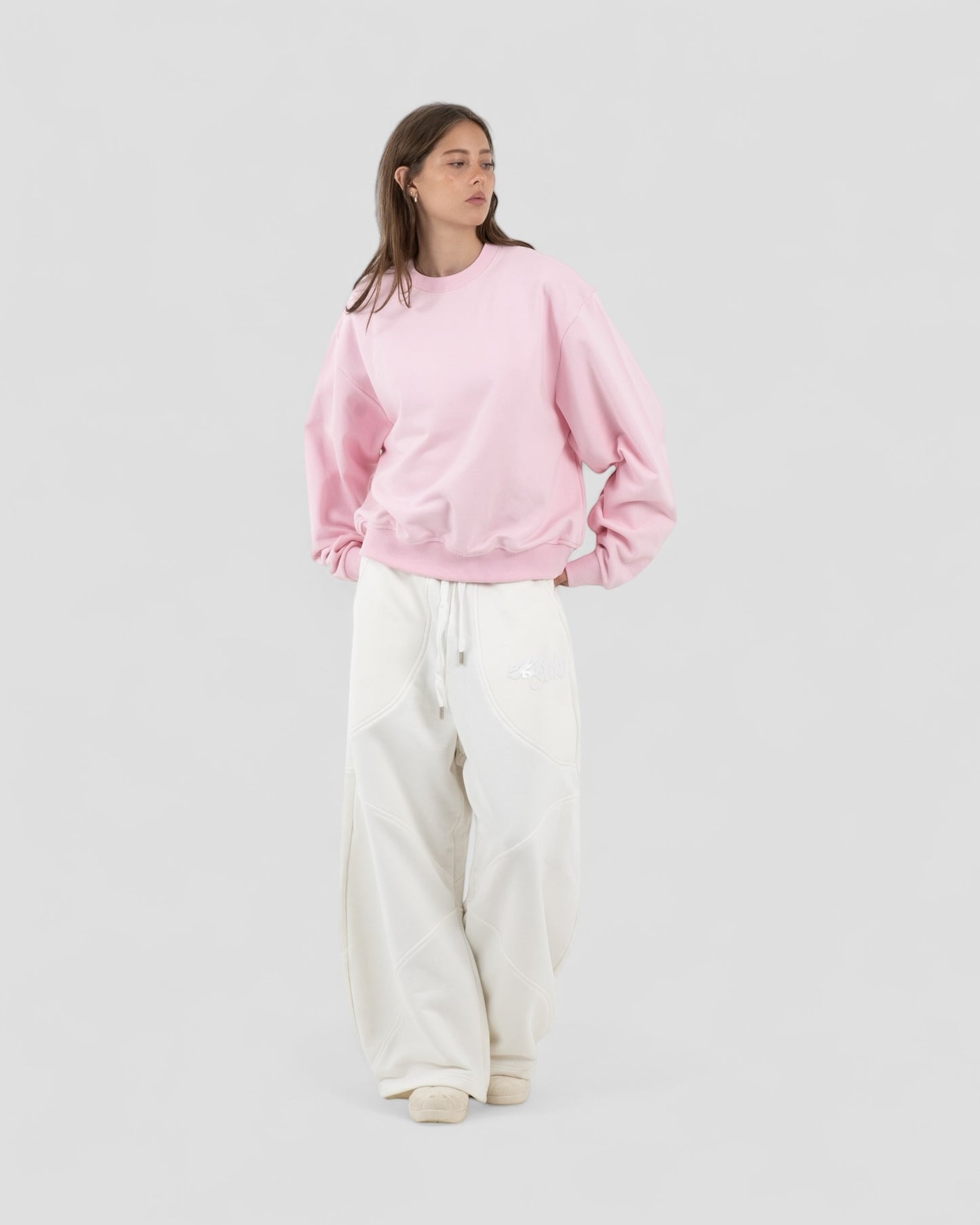 The Perfect Blank Pink Crewneck